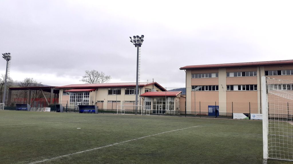 Futbol zelaia