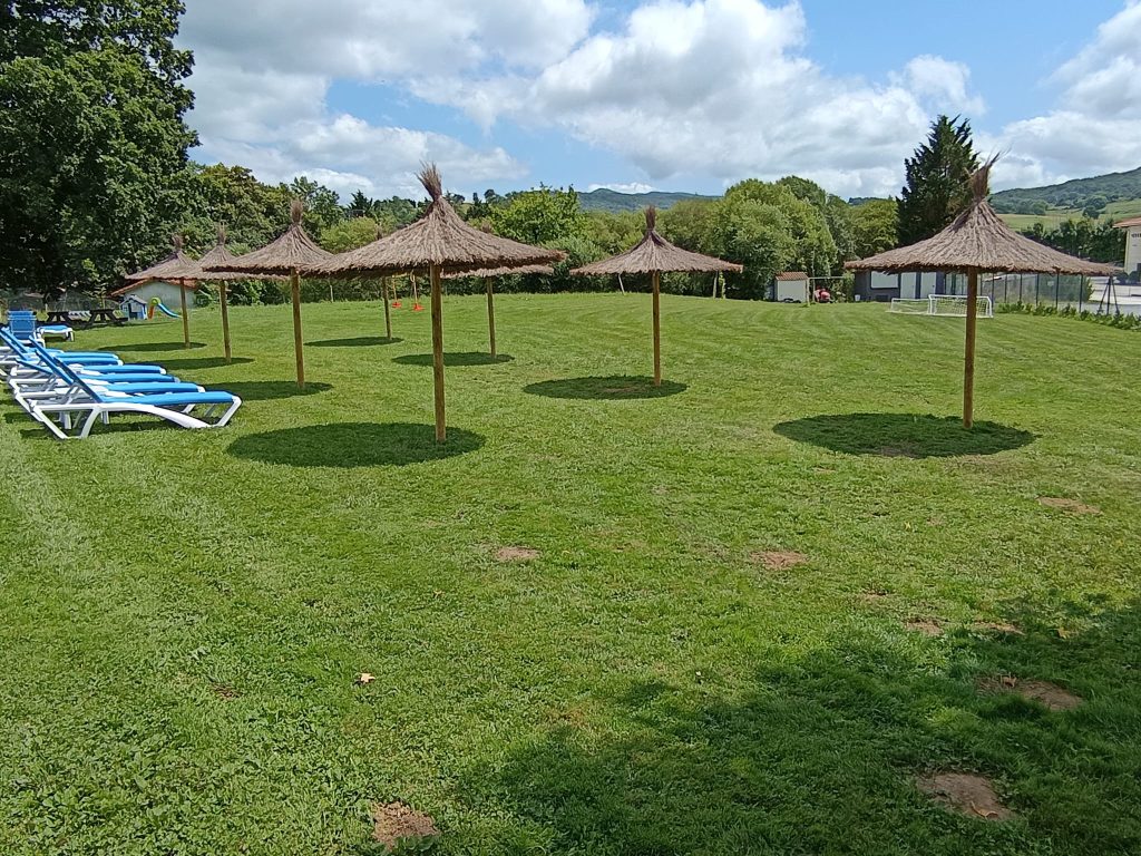 Berdegunea